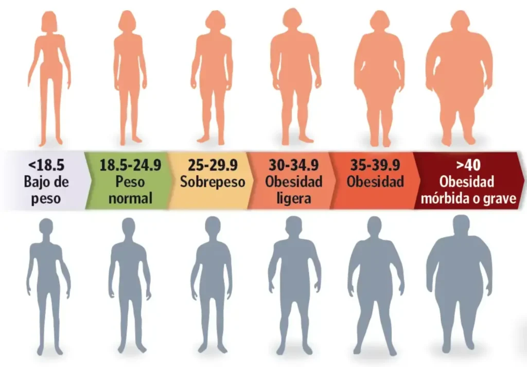 como-calcular-indice-masa-corporal-rangos-imc-peso-corporal